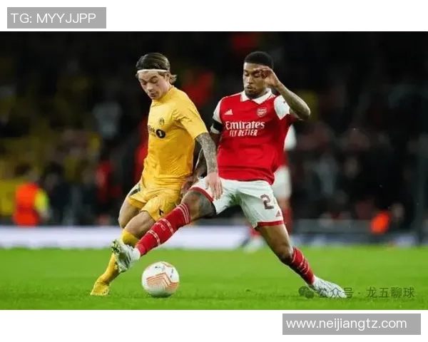 罗森博格与维京比赛前瞻分析及胜负预测详解