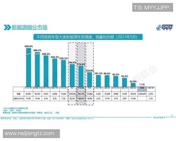 狂热与银星的深度对比分析及其在市场中的表现探讨